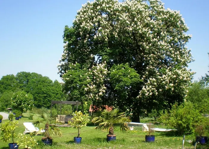 Wampendobler Paradies * Egglham