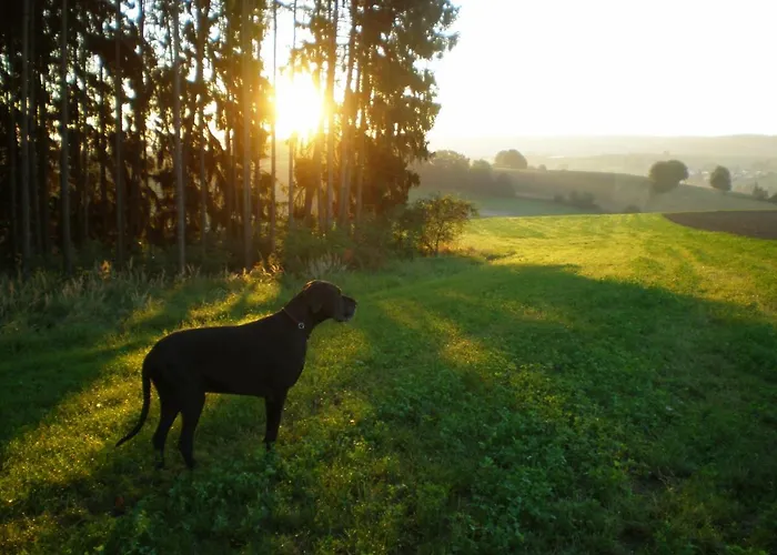 Wampendobler Paradies Daire
