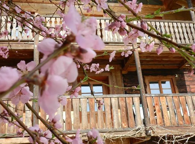 Wampendobler Paradies *