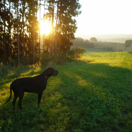 Wampendobler Paradies Lejlighed