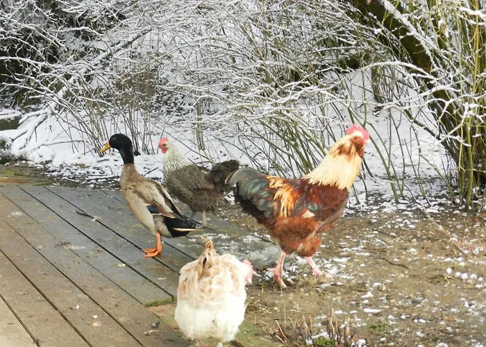 Wampendobler Paradies 아파트 *